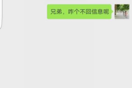 普定遇到恶意拖欠？专业追讨公司帮您解决烦恼