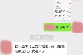 普定为什么选择专业追讨公司来处理您的债务纠纷？